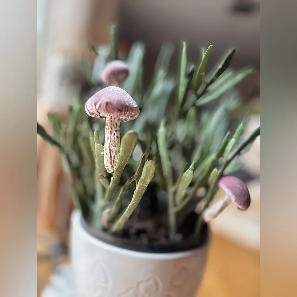 Mushrooms Plant Accessories